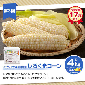 【26年7月発送開始】かに太郎 定期便Aセット（赤肉メロン、ライオンコーン、白くまコーン、無添加鮭イクラ醤油漬け）全4回 | 定期便 _01193