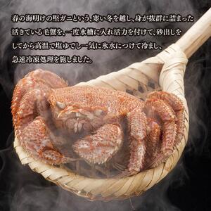 【着日指定可】北海道オホーツク産　毛ガニ　1尾　800ｇ前後 | 毛ガニ_01190