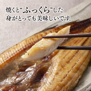 ビックサイズ 真ホッケ 一夜干し 約380g 4枚入り _01416