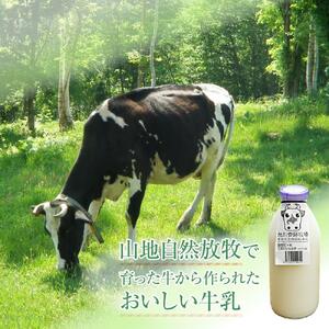 【3ヶ月定期便】斉藤牧場の山地自然放牧牛乳（900ml×2本×3回） ｜ 牛乳 _00576