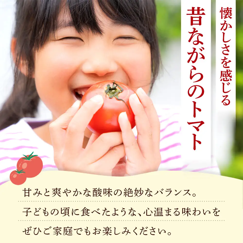 旭川市西神楽産 桃太郎トマト4kg（2026年6月中旬～発送開始予定）トマト _00960