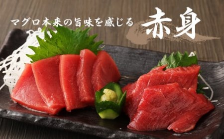 長崎県産 本マグロ赤身 300g 2人前～3人前 【大村湾漁業協同組合】