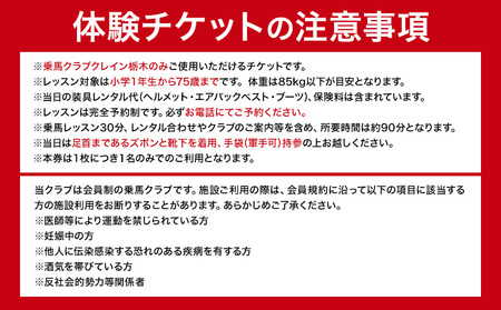 乗馬 スクール 体験 チケット 30分 土日祝 1名様分 クレイン栃木 《30日以内に出荷予定(土日祝除く)》栃木県 野木町 馬 乗馬体験 チケット 初心者 OK