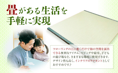 インテリア 畳 畳職人の手仕事 高品質置き畳１枚 60cm×60cm 大高畳店《30日以内に出荷予定(土日祝除く)》栃木県 野木町 置き畳 和室 家具