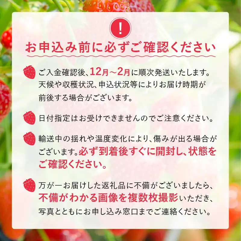 福岡県産あまおういちご　約280g以上×2パック（大粒）【12月～2月発送】_いちご あまおう 約280g 以上 × 2パック 約560g 大粒 果物 フルーツ みずみずしい ジューシー 甘み 酸味 濃厚 ストロベリー パフェ ショートケーキ パンケーキ スムージー サンドイッチ ジャム お菓子作り 福岡県産 久留米市 お取り寄せ 送料無料 〔Fi054〕