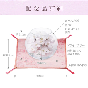 桜のボトルフラワー（久留米絣敷物付き）_ドライフラワー 桜 ボトルフラワー ソメイヨシノ 満開の桜のようにデザイン 久留米絣 敷物 ガラス容器 おしゃれ 花 インテリア 生花 ドライ加工 入学祝 卒業祝 合格祝 就職祝 旅立ち お祝い 記念 ギフト 贈り物 送料無料 〔Qb018〕