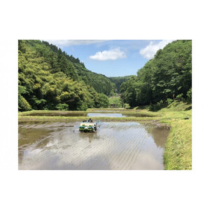 令和8年産  出雲市産きぬむすめ　 5.5kg入り白米1袋