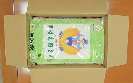 【令和7年度産】 山形県産 はえぬき無洗米 5kg×2袋計10kg ブランド米 こめ ご飯 ごはん 白米 エコ 節水 F4A-0501