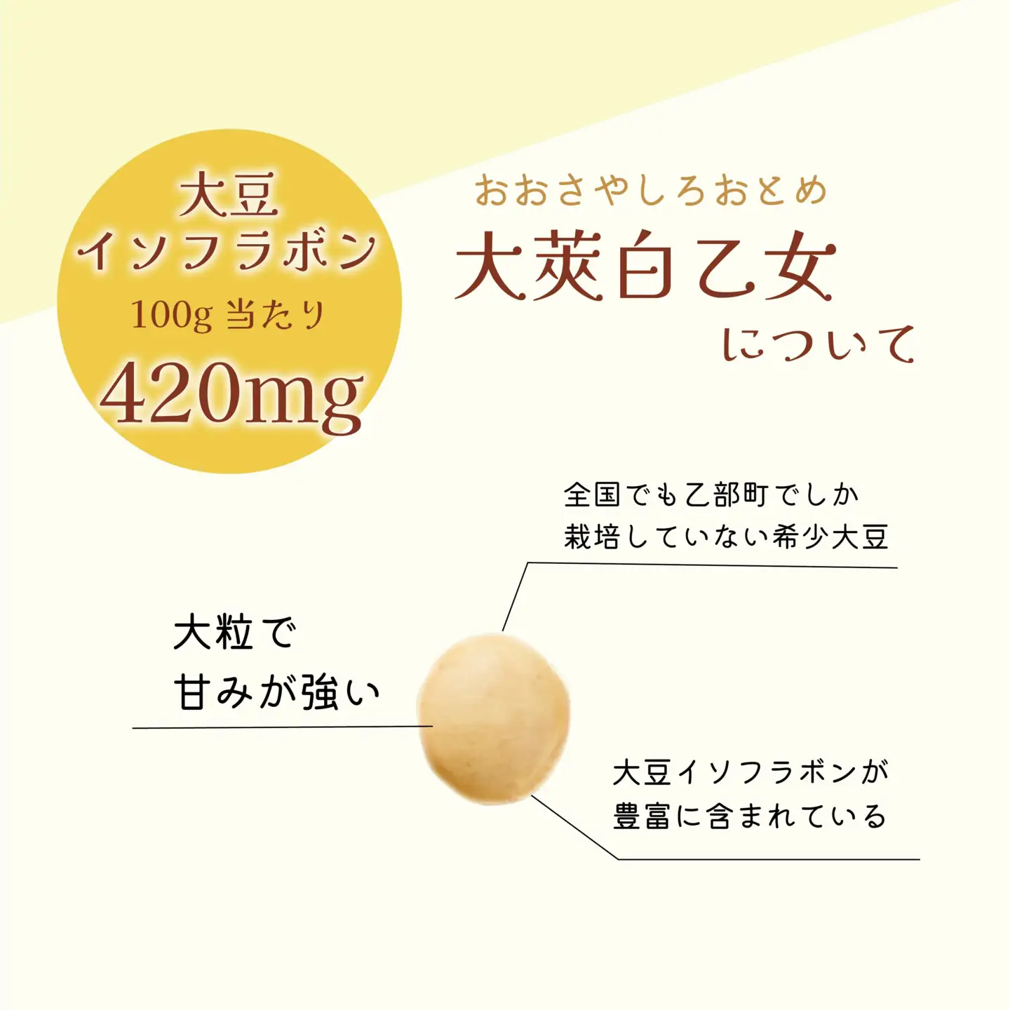 ＜大莢白乙女大豆　1袋＞大粒で甘い乙部町地大豆 北海道 北海道産 道産 国産 国産大豆 乙部町 地大豆 特産品 大豆 甘い 大粒 コク