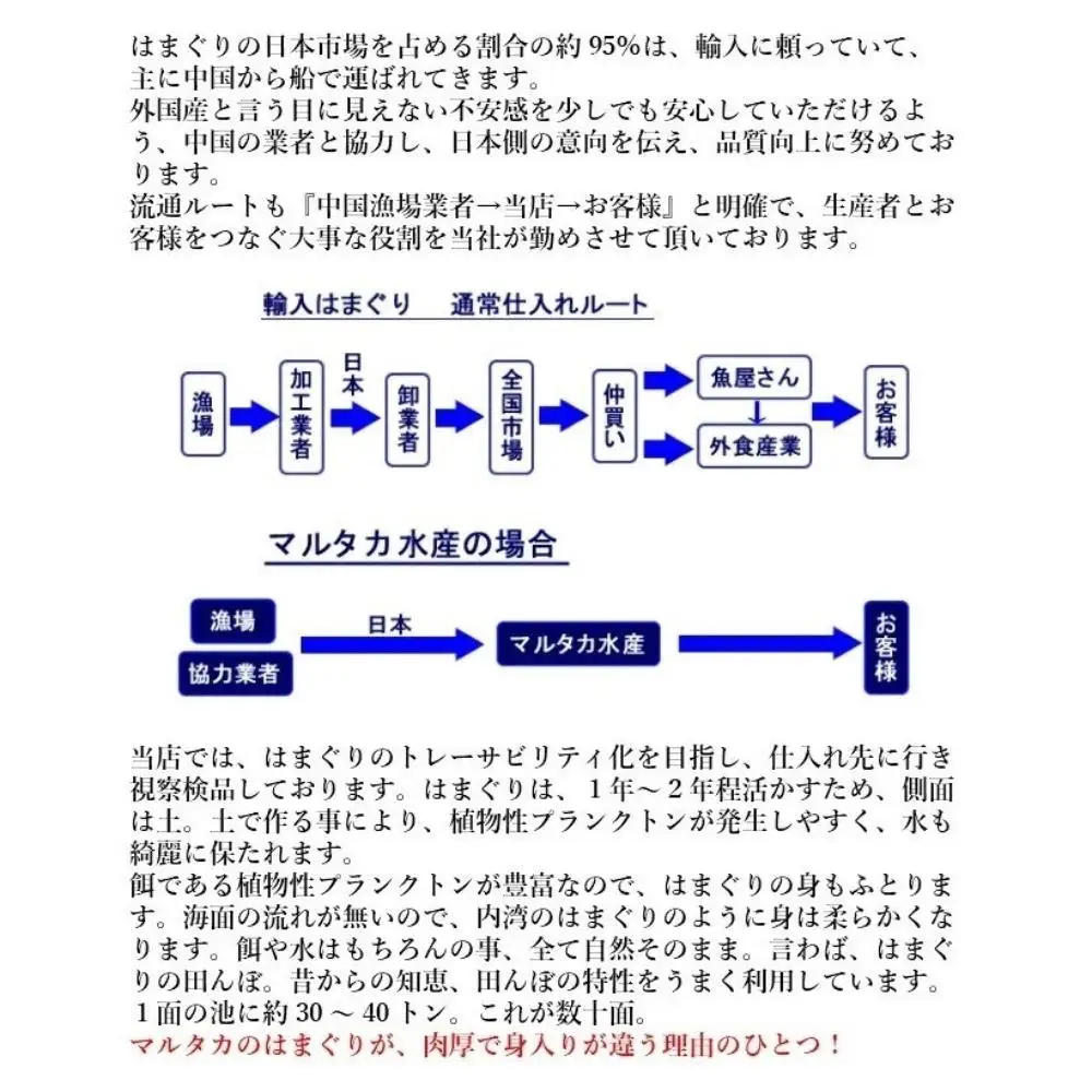 三重県・畜養はまぐり 3㎏　ハマグリ 蛤 お吸い物 焼きはまぐり 焼き蛤