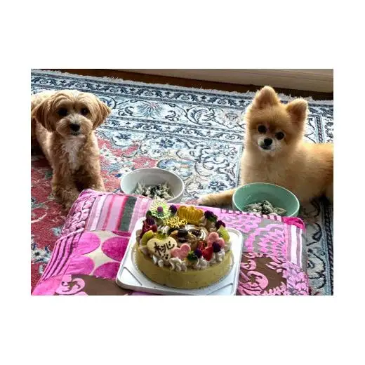 犬用似顔絵ケーキ・アレルギー対応・獣医師監修