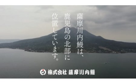 AS-2066 うなぎ肝の佃煮缶詰 60g×4個