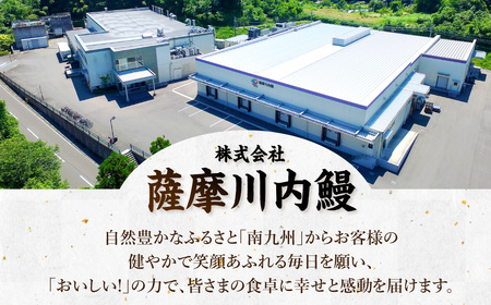 九州産うなぎ蒲焼 2尾 食べごたえある2人前 AS-840