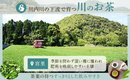 ZS-619 崎原製茶のティーバッグ3種ｵﾘｼﾞﾅﾙｾｯﾄ#1 (煎茶･焙じ茶･紅茶)