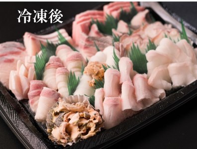 刺身 盛り合わせ 「旬のお刺身盛合せ」刺盛 地魚 2-3人前 冷凍 急速冷凍 仙崎 長門市 配達指定可能 日時指定可能 (10045)