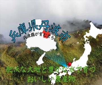 丹波産黒豆茶 5箱セット ほうじ茶×2・ルイボスティー×3 〈丹波市〉 お茶