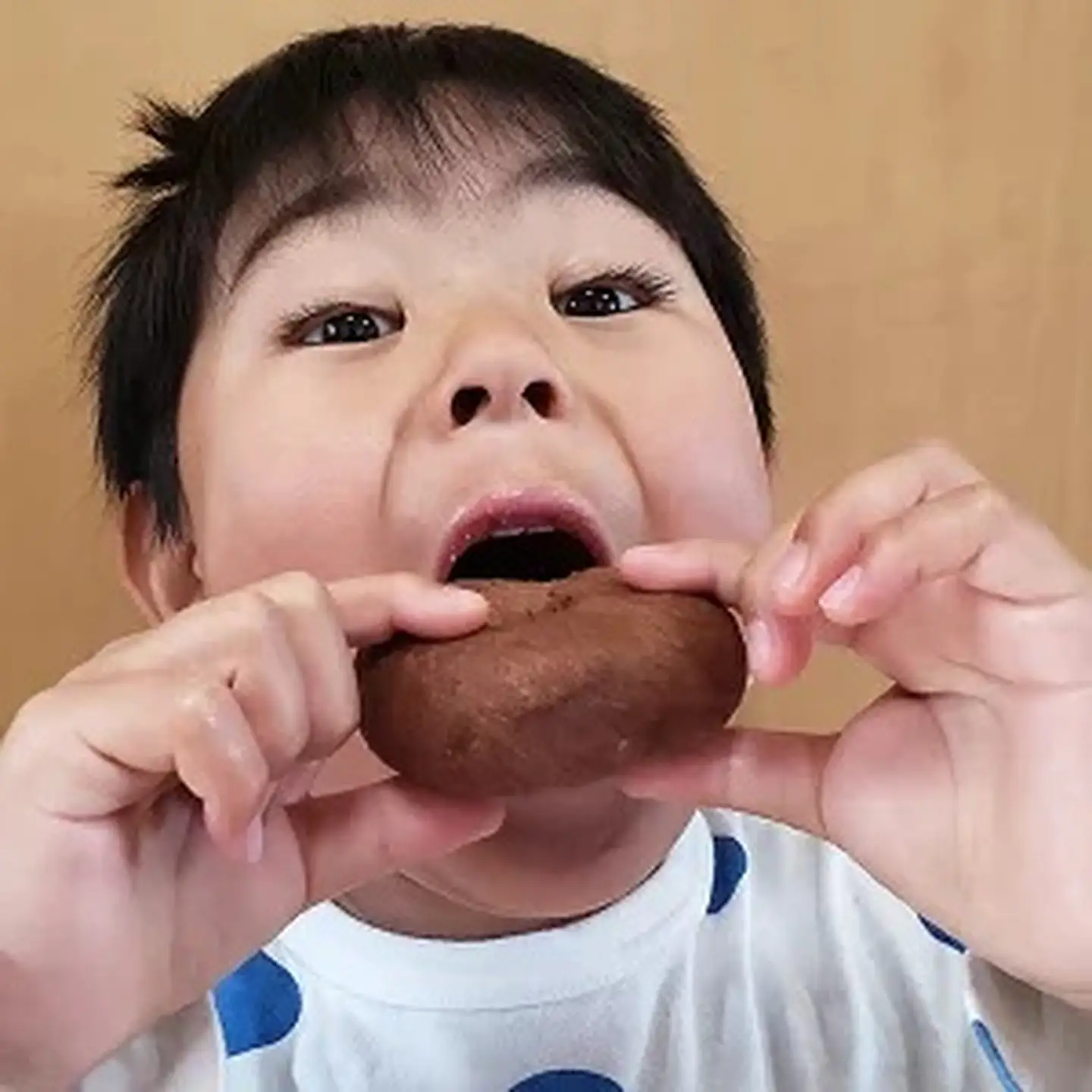 美味しい！お魚を使ったドーナツたっぷり15袋セット：B120-023