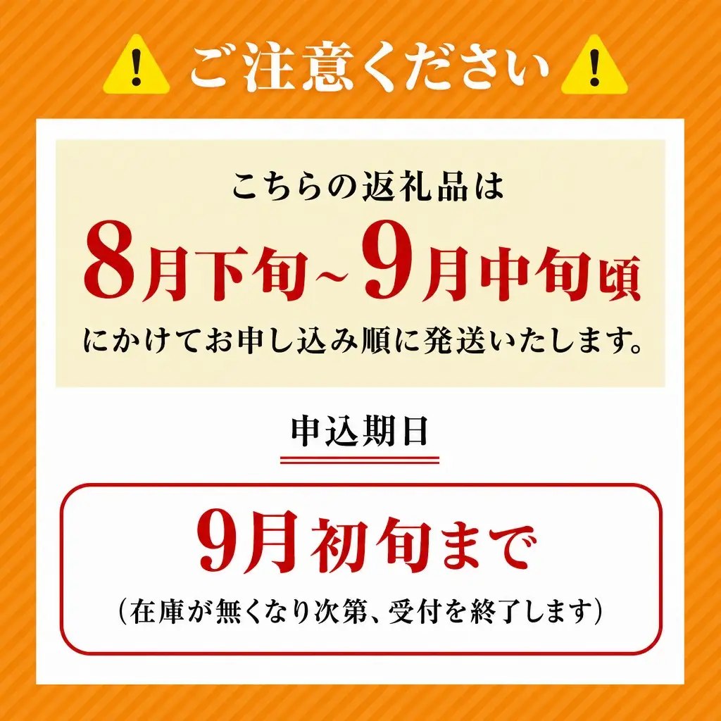 【2026年産 先行予約】 梨 二十世紀梨 約5kg 10～20玉 1玉250～500g 【令和8年8月下旬以降発送予定】 20世紀梨 フルーツ 果物 12-25