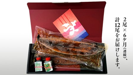 【 6ヶ月連続 定期便 】《 麻布しき 》 国産 有頭 鰻蒲焼 × 2尾 (計 12尾 )
