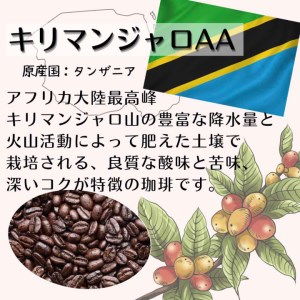 【定期便】自家焙煎 人気珈琲豆 3種セット（3か月）（挽き）