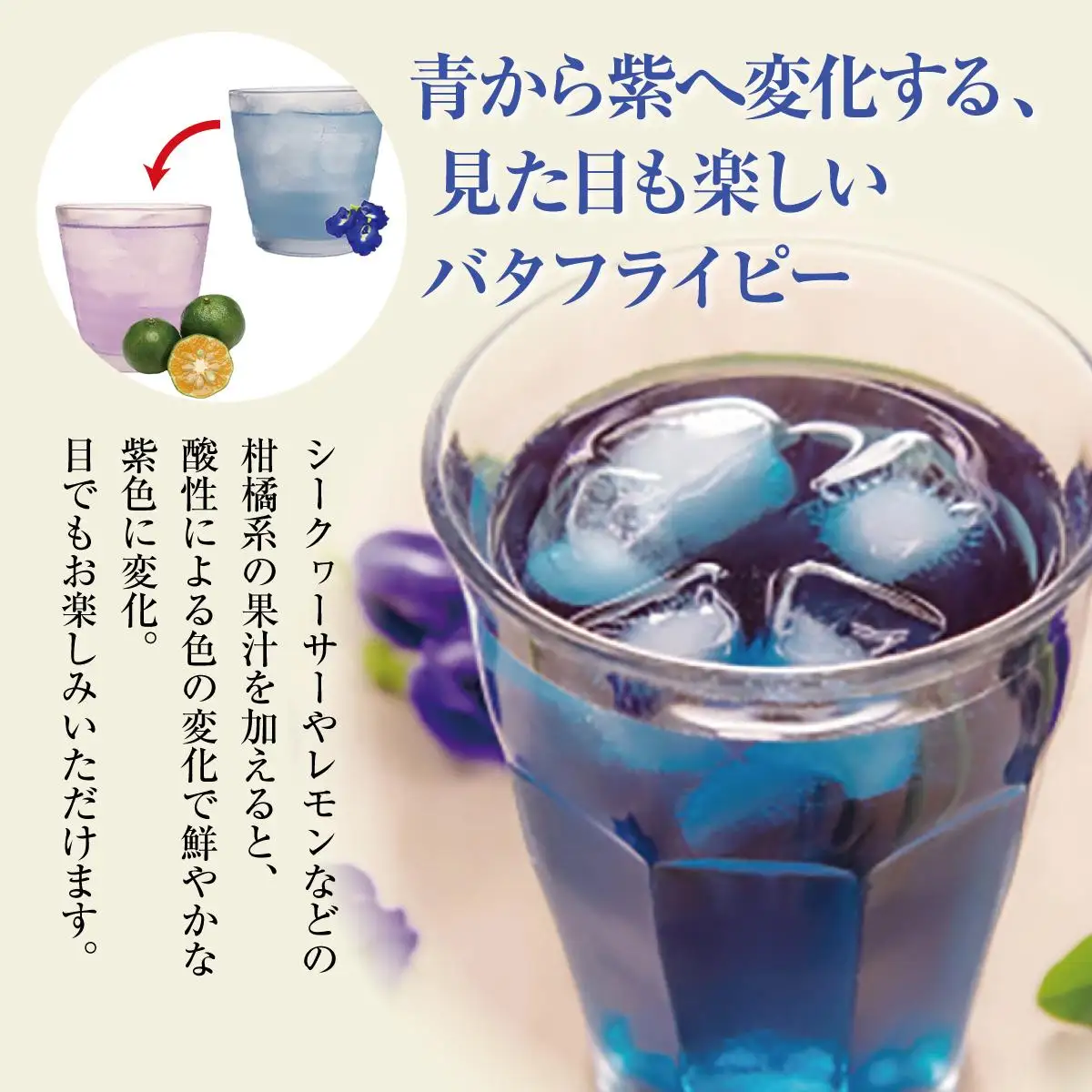 バタフライピー3種セット   