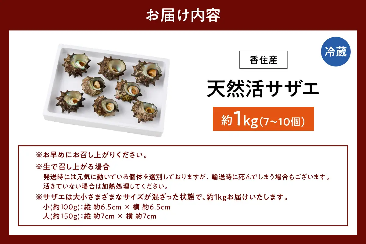 兵庫県香住産 天然 活 サザエ 1kg（7～10個） さざえ 33-19