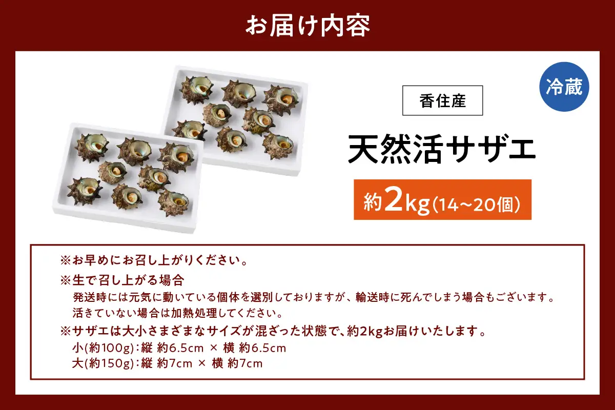 兵庫県香住産 天然 活 サザエ 2kg（14～20個）冷蔵 さざえ 33-20