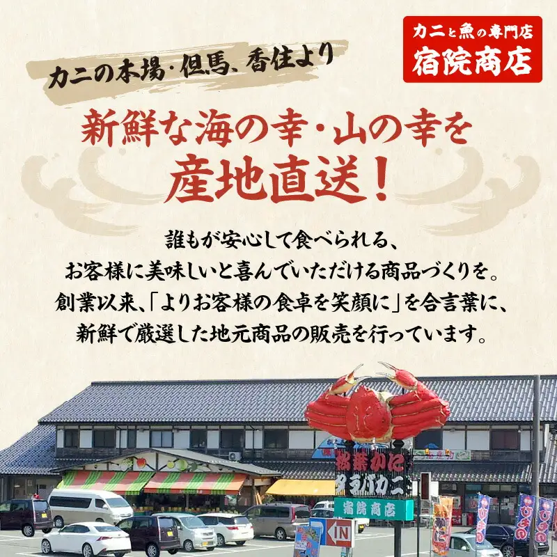 兵庫県香住産 釜茹で香住ガニ（紅ズワイガニ） 冷凍 2～3匹 【令和8年9月下旬以降発送予定】カニ かに 33-22