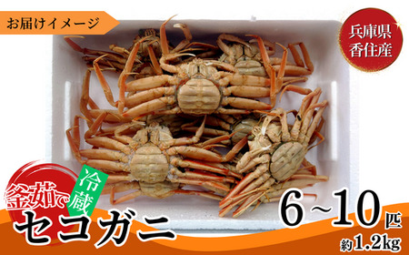 【先行予約】 セコガニ 6～10匹 約1.2kg  【令和8年11月下旬以降発送予定】カニ 33-23