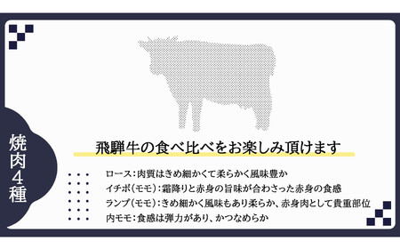 【おうち焼肉】飛騨牛 焼肉用　600ｇ