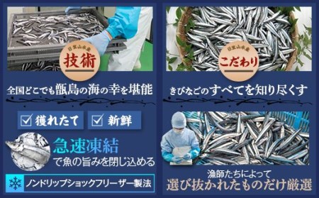 天然きびなご漁師漬け AS-377