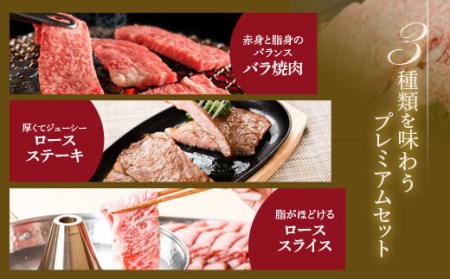 JS-303 鹿児島県北さつま高崎牛 詰め合わせ 【鹿児島県産黒毛和牛】