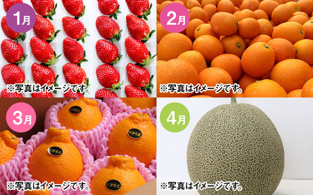 【12カ月定期便】熊本フルーツ定期便12カ月｜果物 くだもの 苺 いちご みかん 柑橘 メロン すいか 桃 ぶどう 梨 柿 ジャム