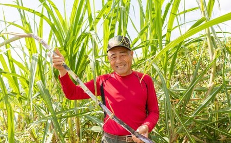 アグリファームさいとう 自家栽培焙煎くろまめ茶 200g×2袋 計400ｇ 焙煎 黒豆 お茶 茶 うきは市