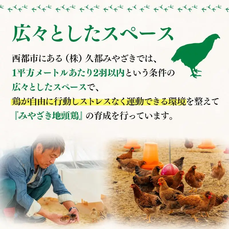 みやざき地頭鶏（じとっこ）鍋セット　ブランド鶏 鶏もも・鶏むね・手羽・つくね・スープ付＜21-1a＞