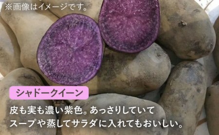 ※数量限定※【先行予約】自然栽培のじゃがいも 3種 約5kg 多治見市 / ほたるファーム 農家直送 芋 詰め合わせ 詰合せ カラフルじゃがいも ジャガイモ 自然栽培 新鮮 おいしい 旬 野菜 季節 限定 送料無料 [TEB002]