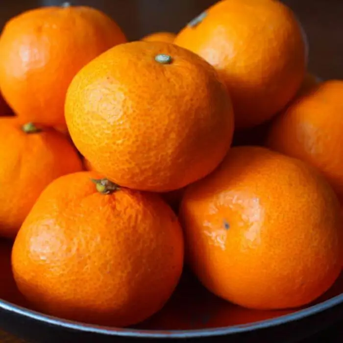 ［濃厚・まろやか］有田産樹上越冬完熟みかん5kg（L～2Lサイズ混合・秀品）★2027年1月下旬頃より順次発送