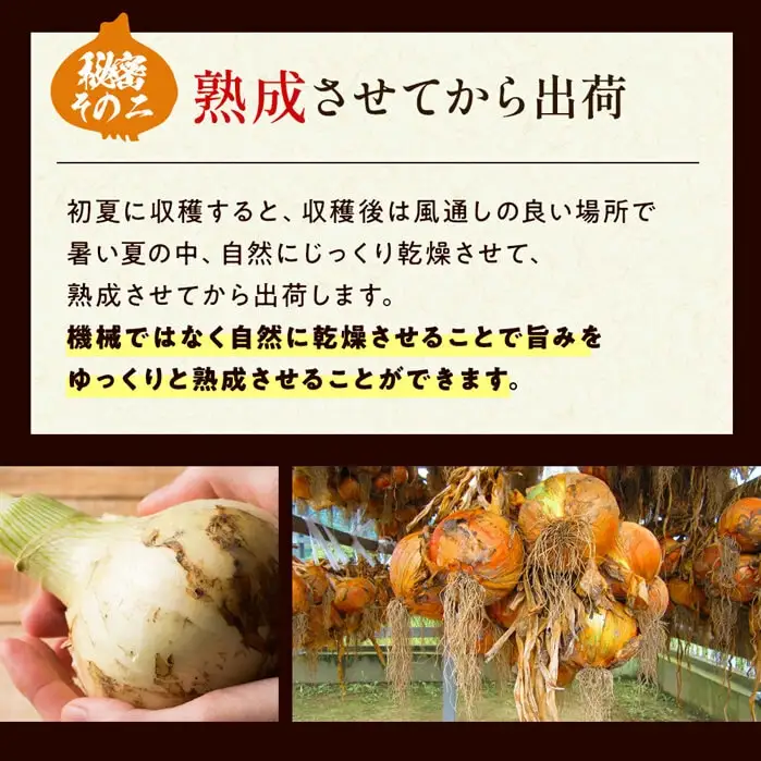 今井ファームの淡路島たまねぎ「かくし玉」5kgとたまねぎスープ10食