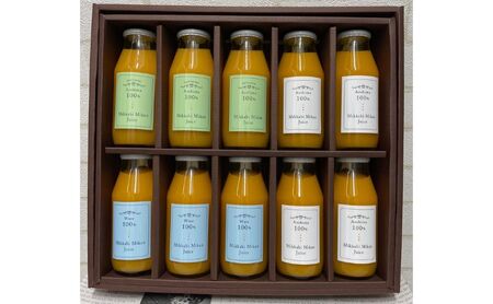 和田農園の三ヶ日みかんを丸ごと搾ったみかんジュース 3種アソート 10本入り 果汁飲料 フルーツジュース 旬のみかん 爽やか 100％ストレートジュース 飲み比べ 