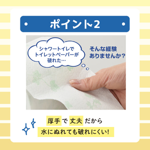 定期便 トイレットペーパー 2回 エリエール ダブル 72ロール
