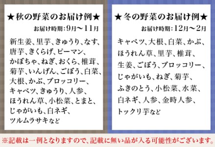 旬の農産物（野菜・果物など）詰合せ【7品以上】