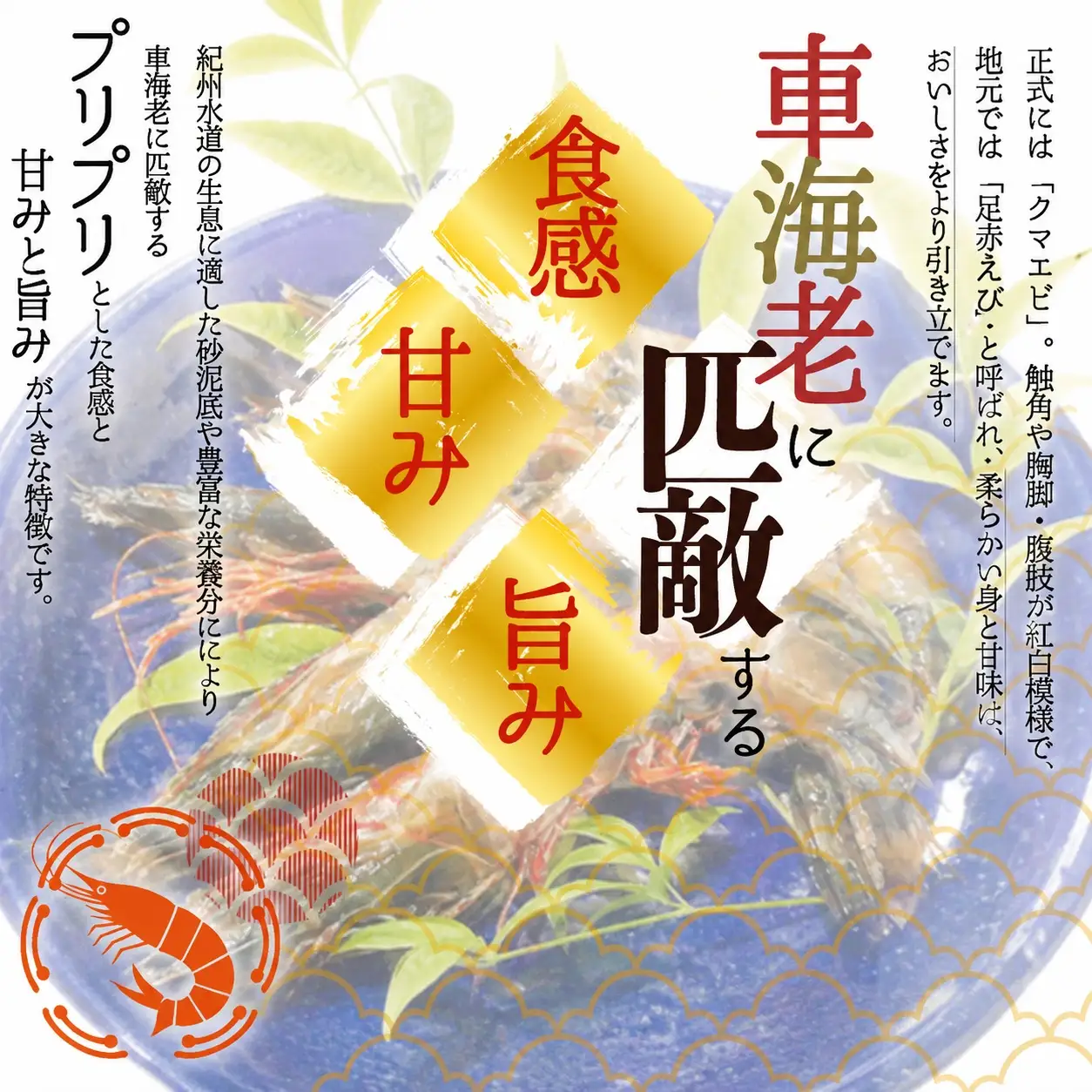 赤エビ 天然足赤えび540g×2箱（270g×4パック）化粧箱入【uot773A】