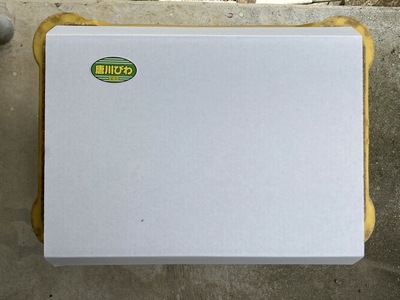 びわ 唐川びわ 約1.4kg (350g×4パック) L～3Lサイズ 農園直送 愛媛 伊予市｜B126