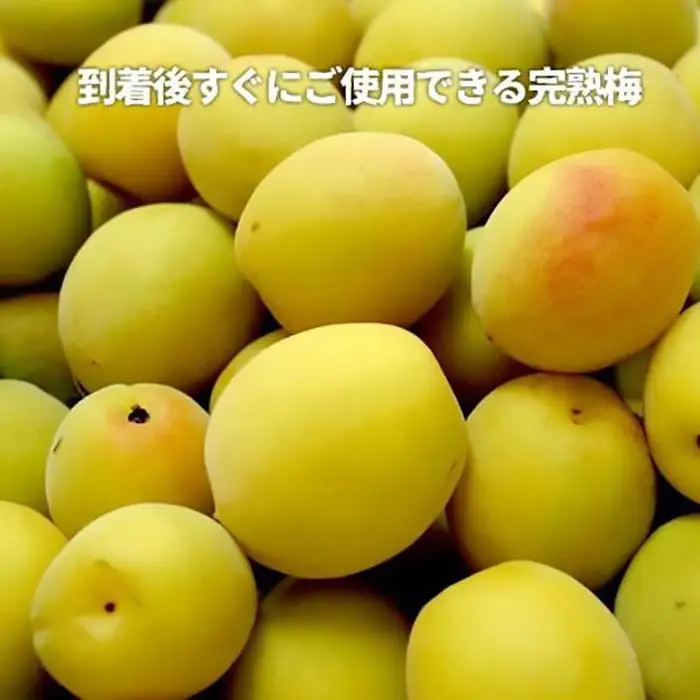 和歌山県産 紀州南高梅 完熟 秀品 5kg（3L以上〜Lサイズ混合）