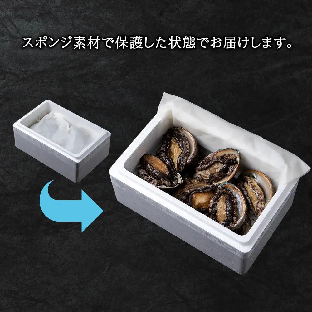 【2026年発送予約】利尻島産 直送！I 利尻あわび 天然 生えぞあわび 500g 鮑 海鮮 冷蔵 お刺身 魚介 お祝い【福士水産】 北海道ふるさと納税 北海道産 アワビ 産地直送 蝦夷あわび