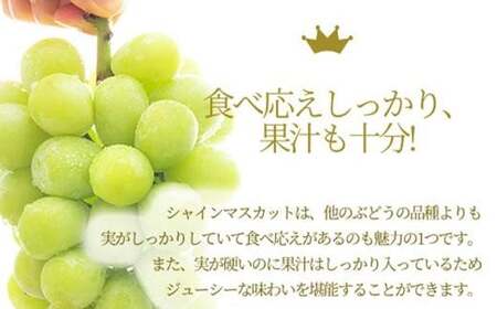 《2026年発送 先行予約》 山形県産 訳あり シャインマスカット 1.8kg 3～4房 マスカット ぶどう ブドウ 葡萄 デザート フルーツ 果物 くだもの 果実 食品 山形県 FSY-0580