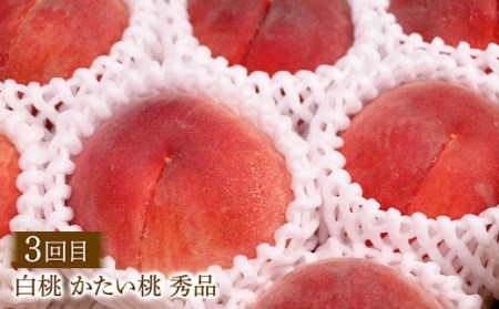 【2026年先行予約 定期便3回】 桃が好き！旬の桃食べつくし定期便 各2kg FSY-2388