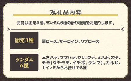 焼肉食べ比べセット 【最大6ヶ月待ち】 焼肉 尾花沢牛 A4-5 9種 約3~4人前 nj-og9ys