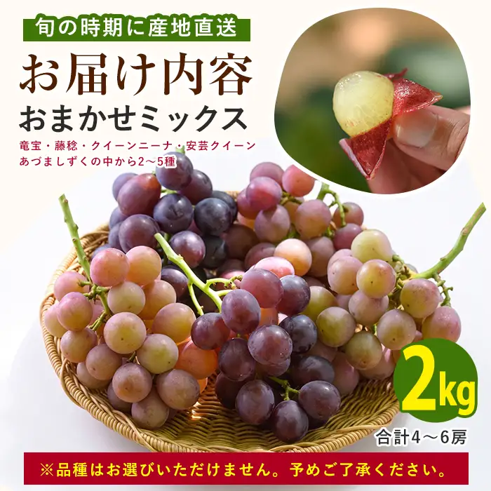 2026年7月上旬～順次発送 迫田果樹園のぶどう 指宿産ぶどうのおまかせミックスセット約2.0kg 迫田果樹園 IB064-003 ぶどう ぶどう