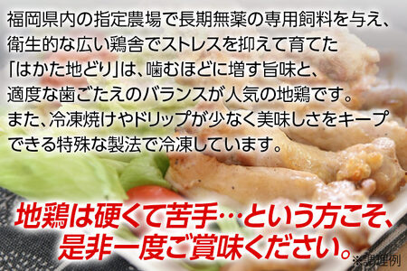 福岡県産地鶏「はかた地どり」むね肉(約1kg)　 お取り寄せグルメ　お取り寄せ 福岡 お土産 九州 ご当地グルメ 福岡土産 取り寄せ 福岡県 食品